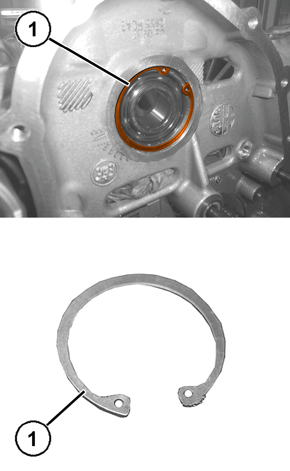 GC0195620