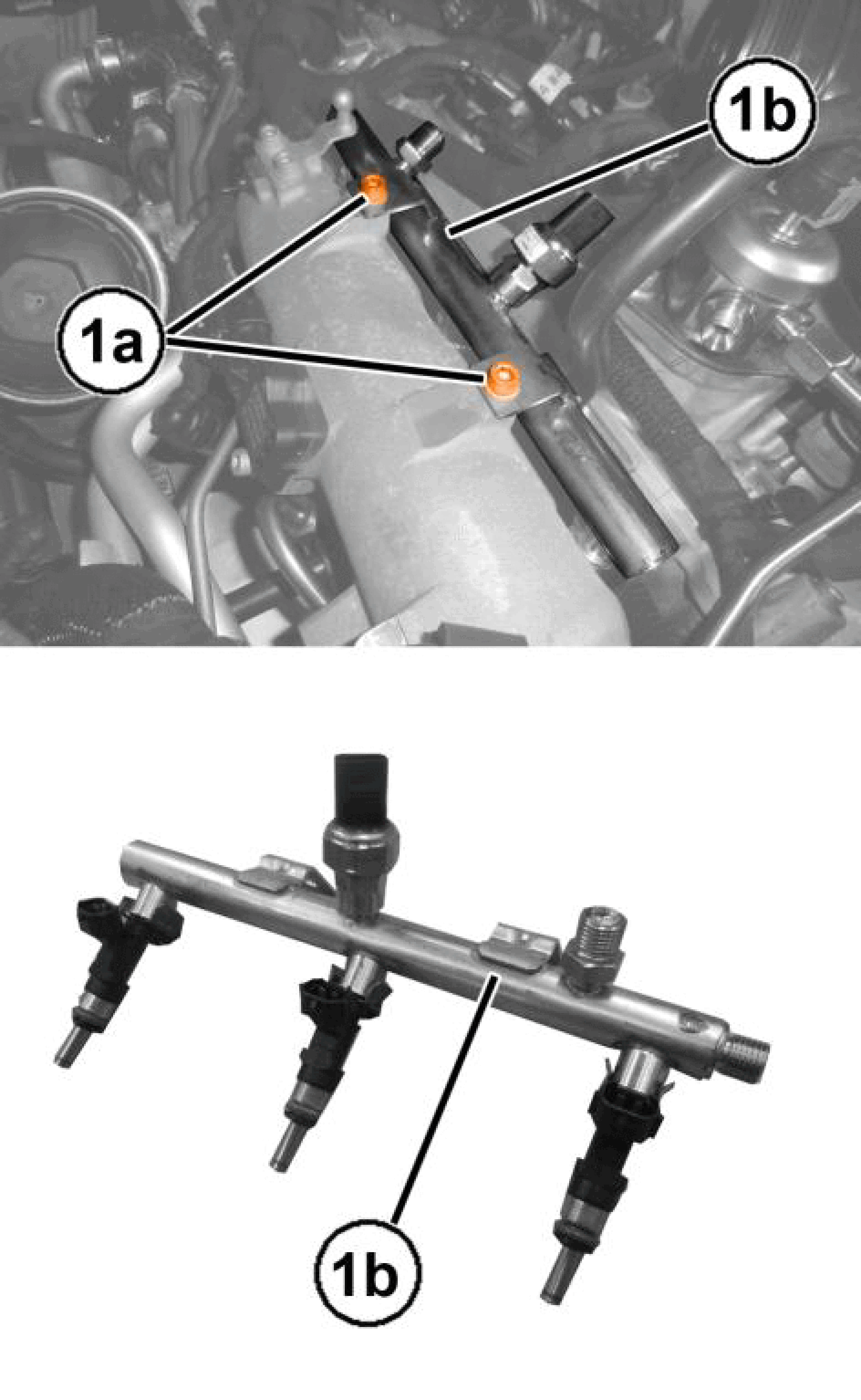 GC0195682