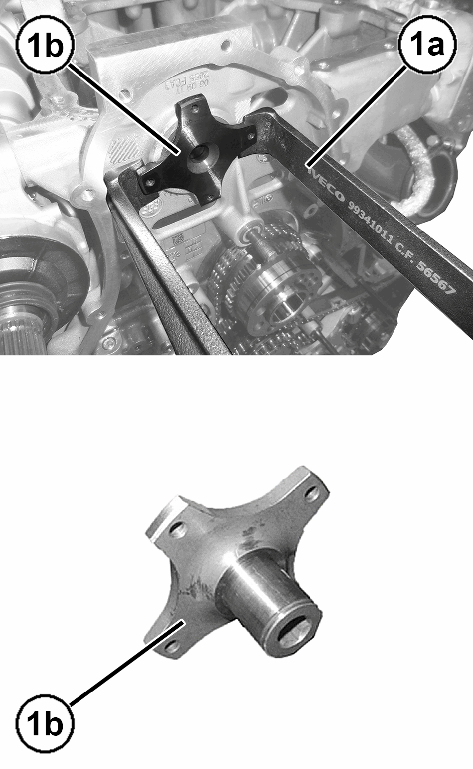 GC0195695