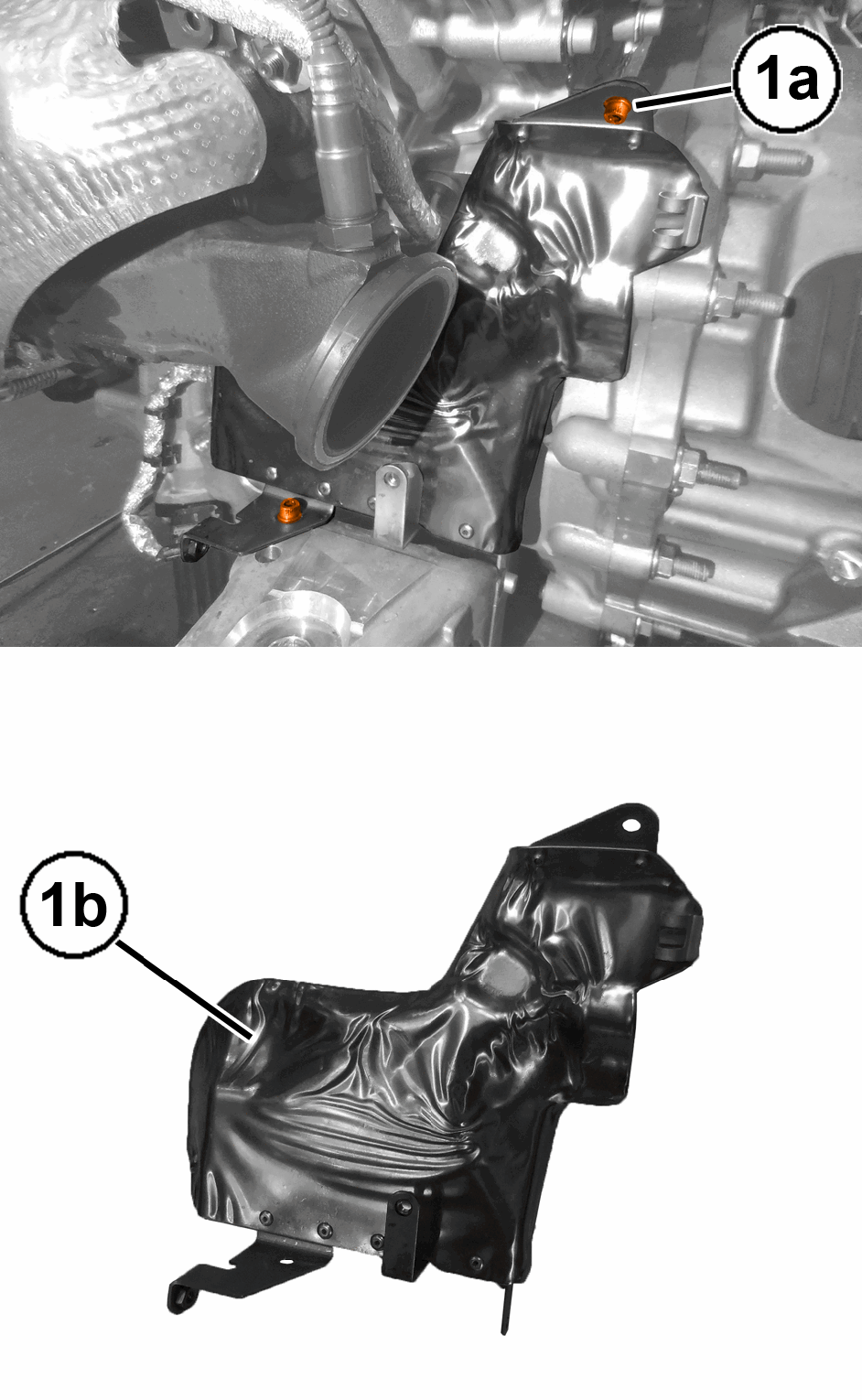 GC0195723