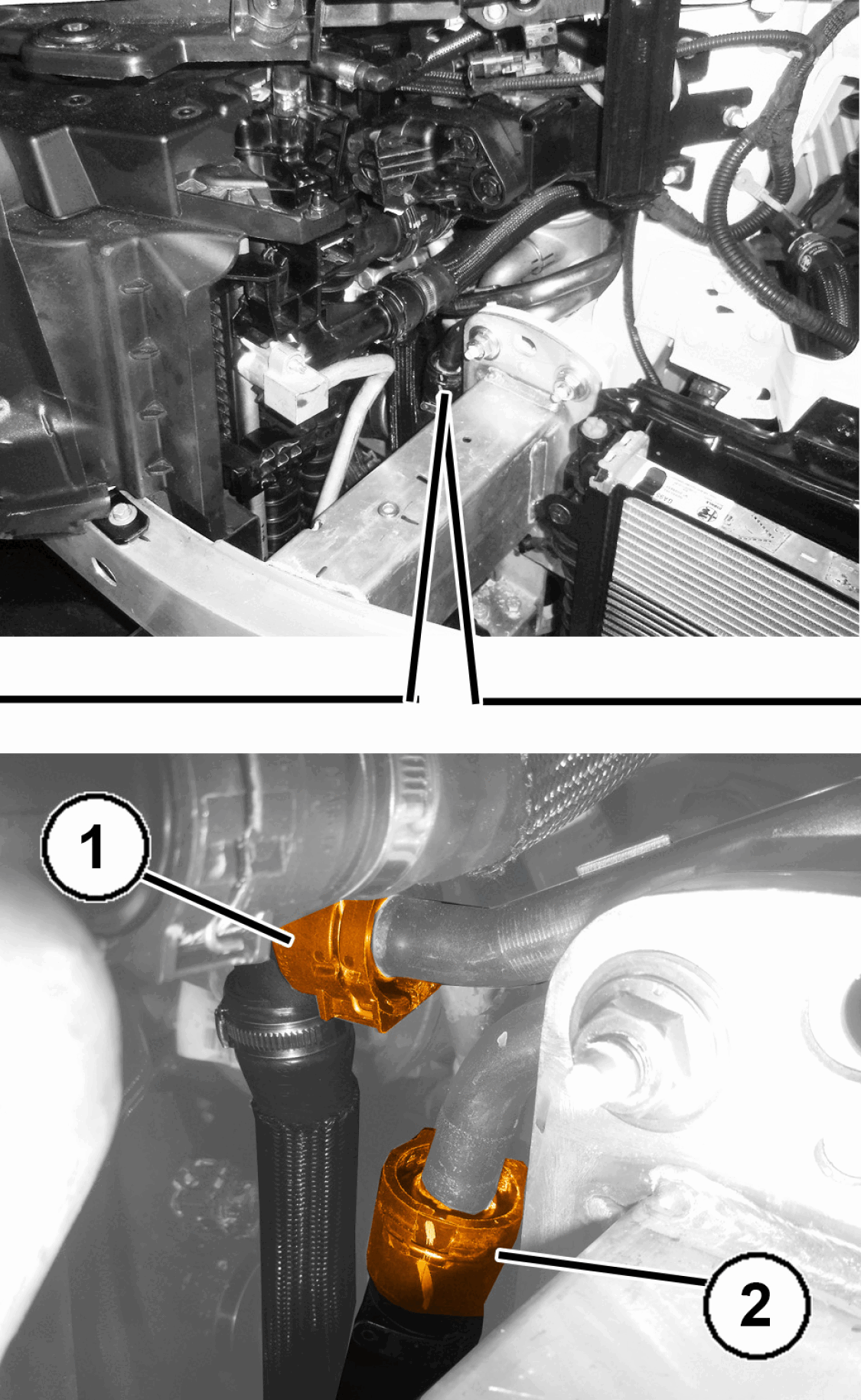 GC0195729