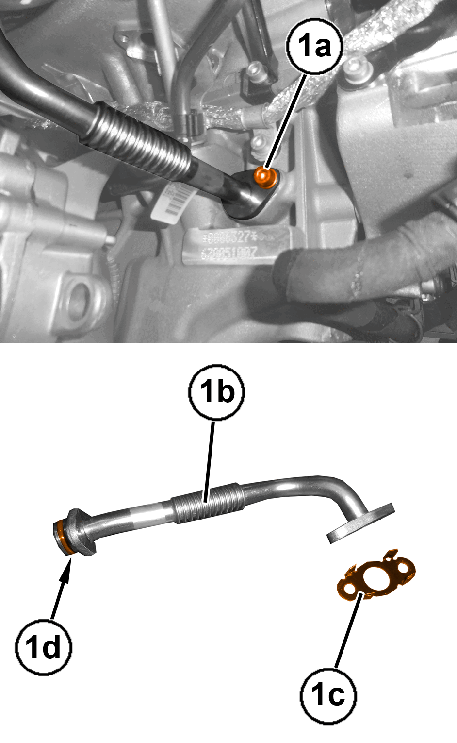 GC0195742
