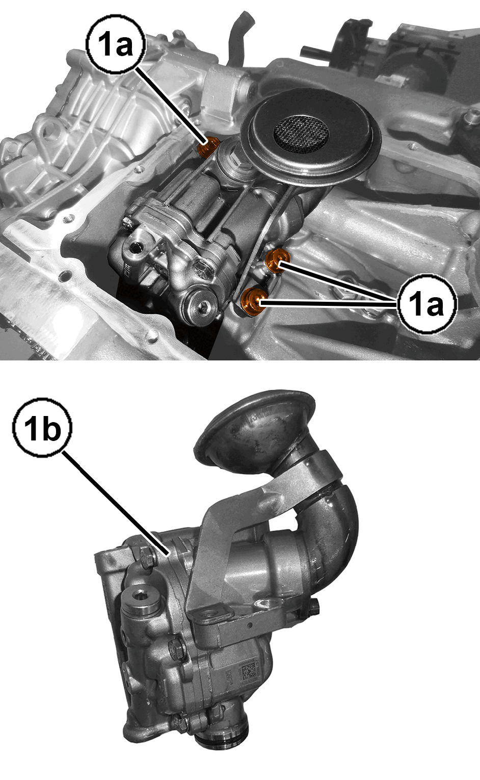 GC0195823