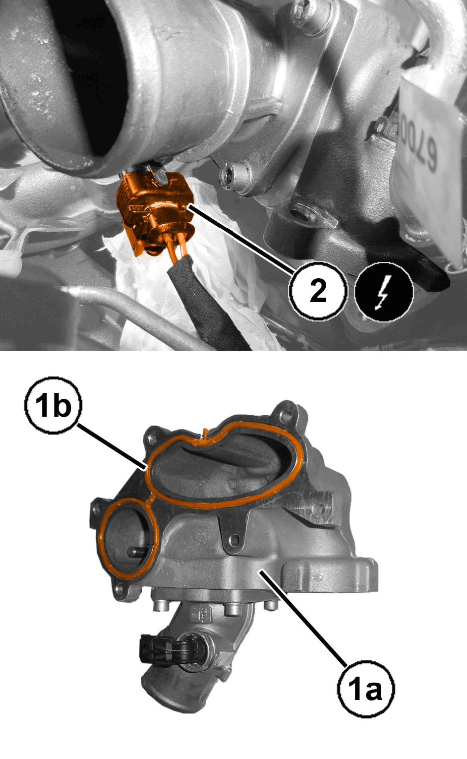 GC0195837