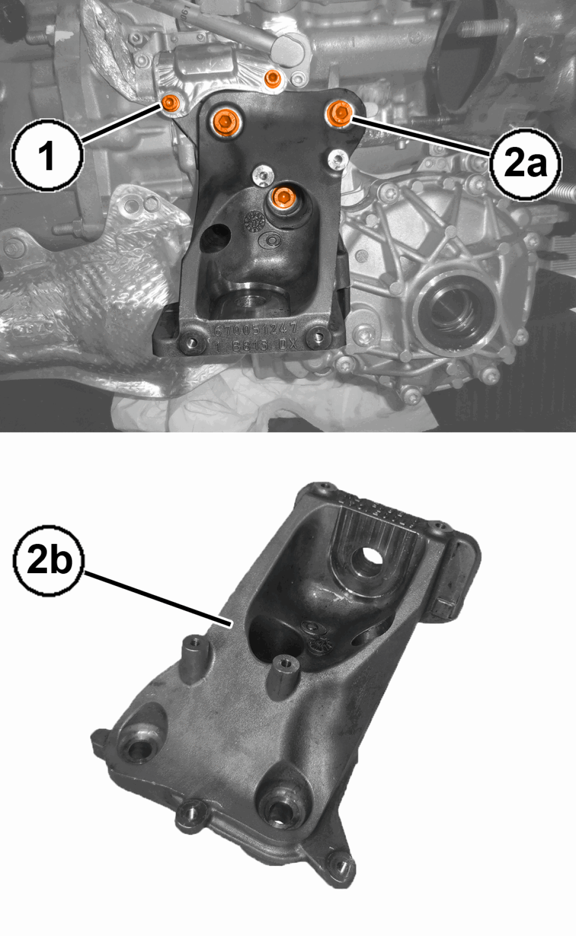 GC0195875