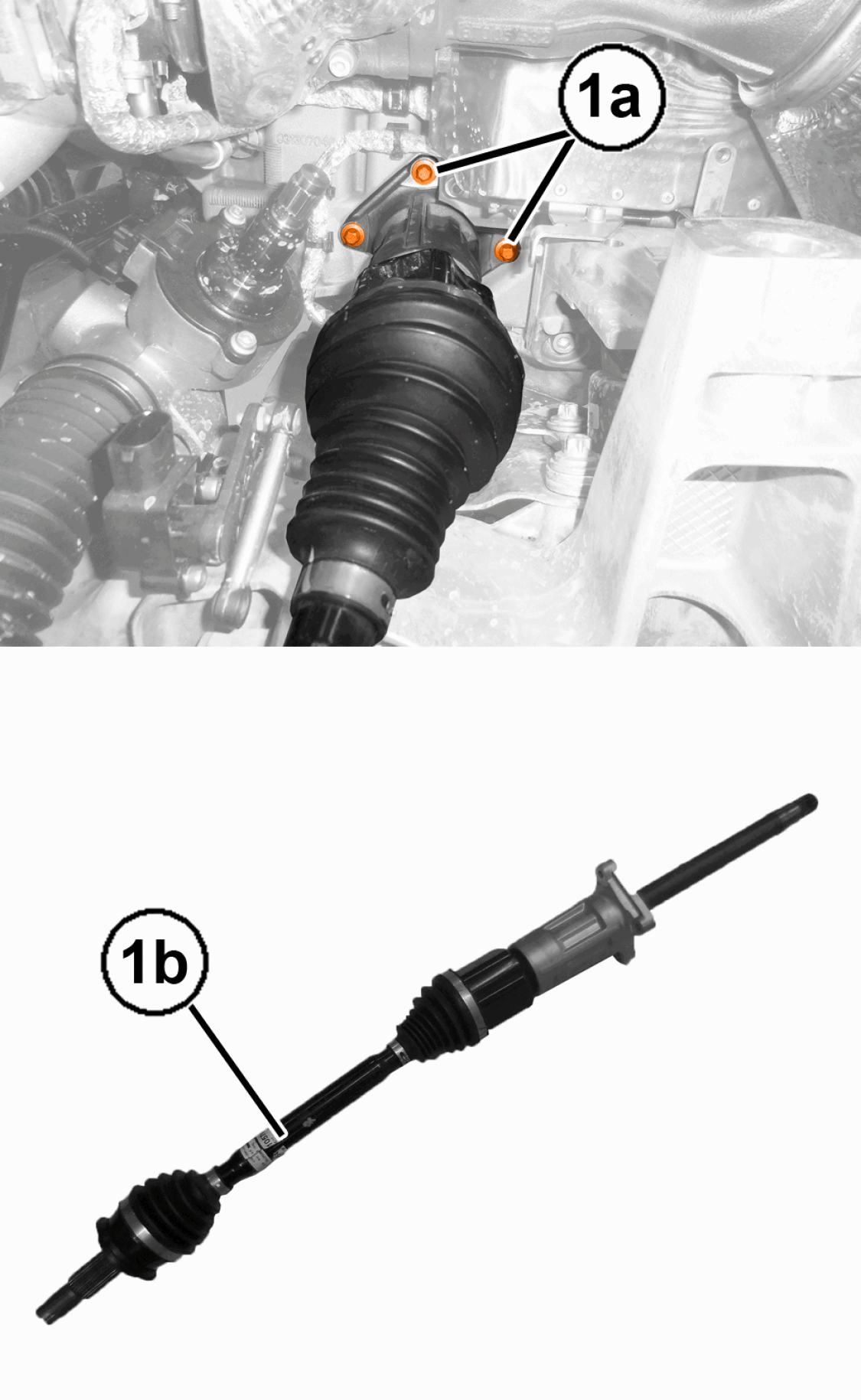 GC0195959