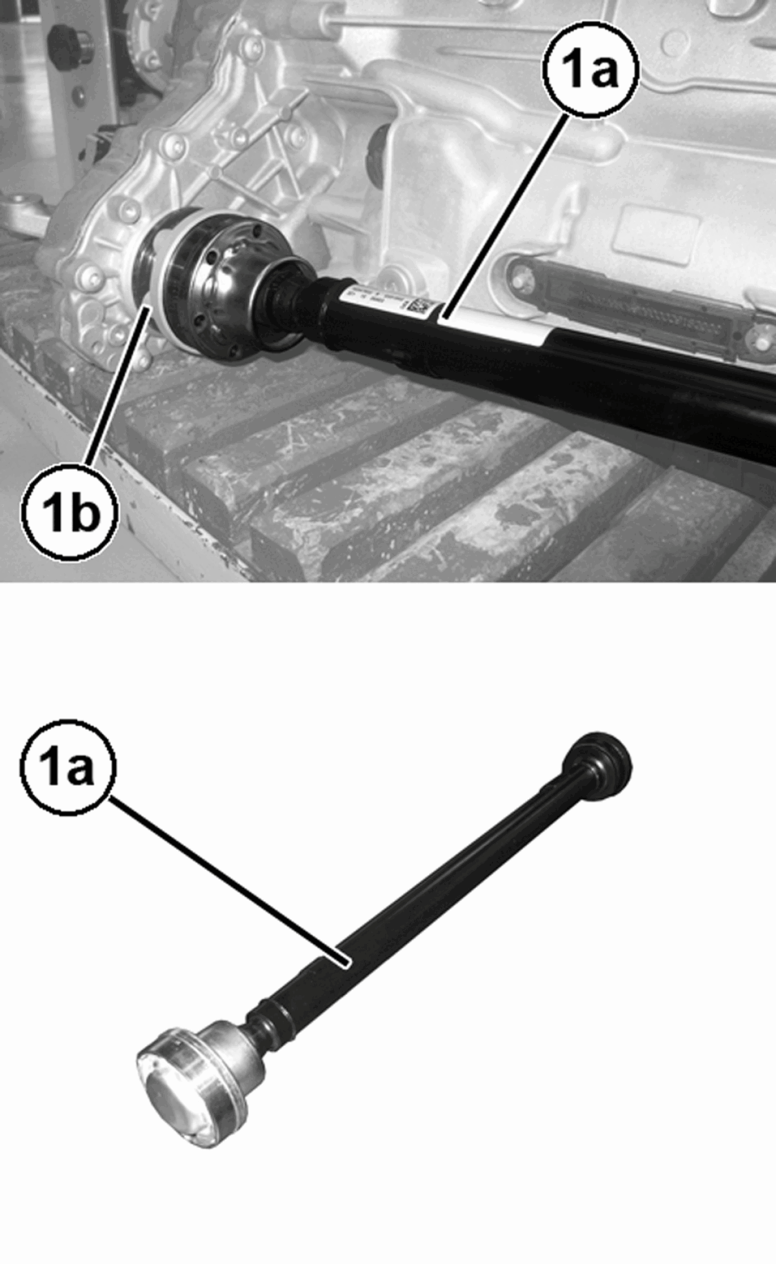 GC0195962