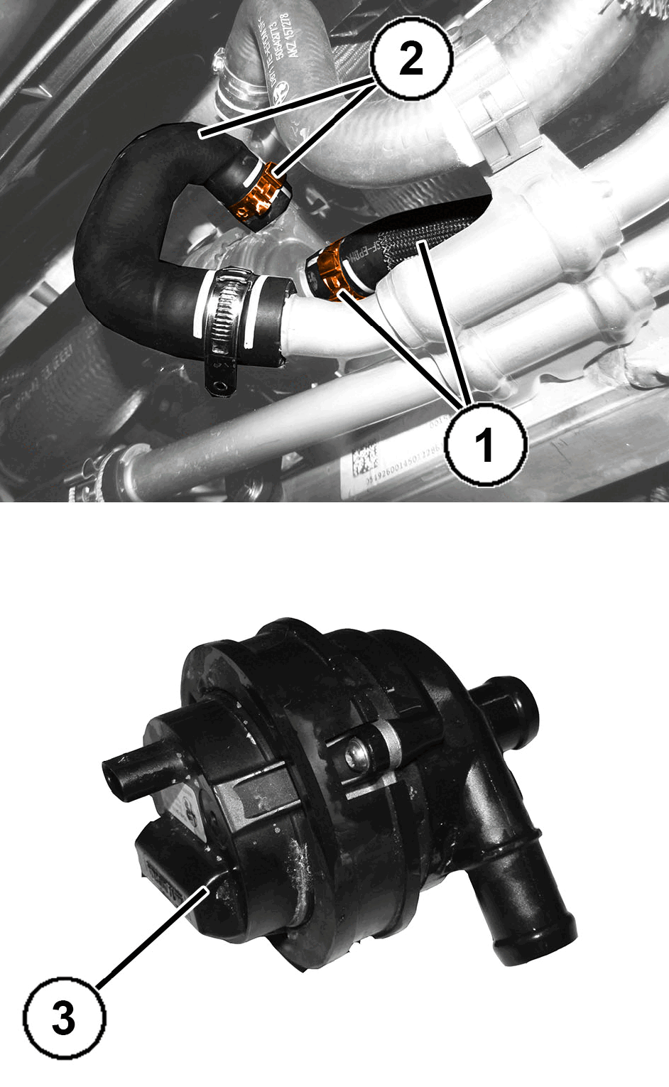GC0195973