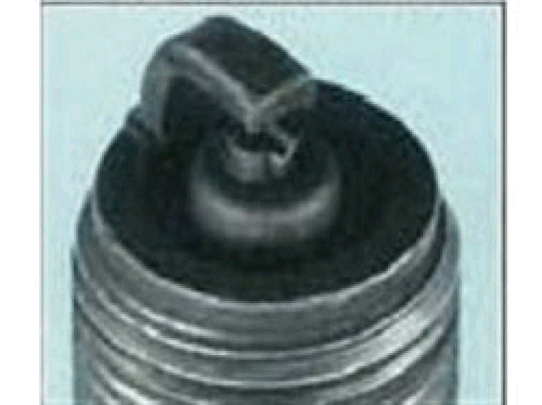 GC0195985