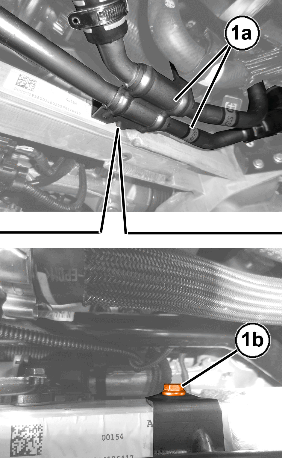 GC0195991