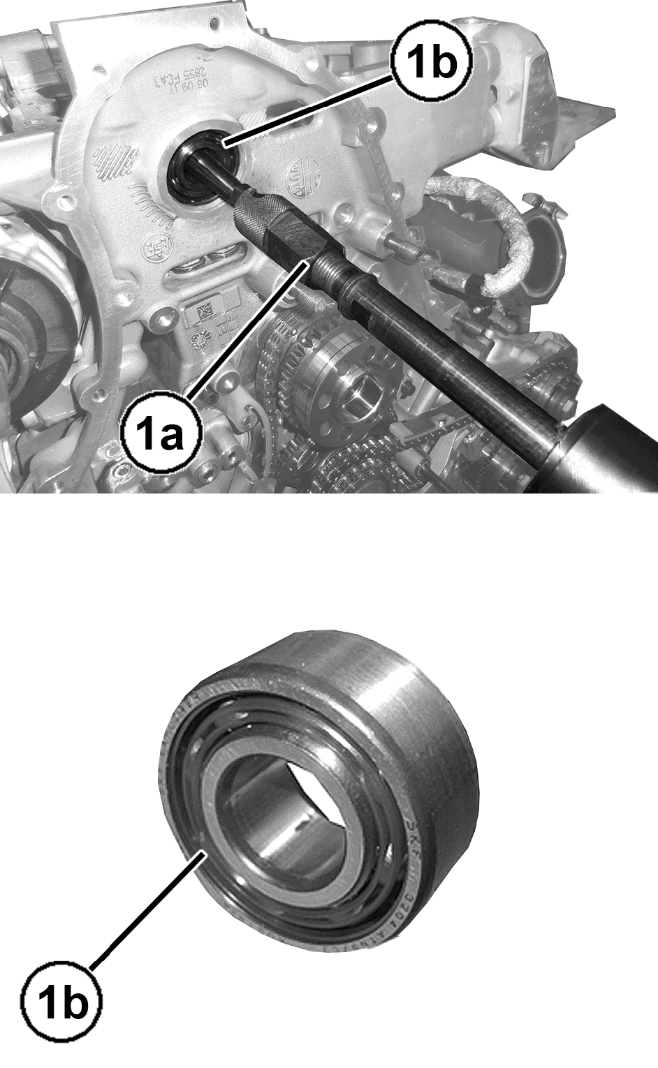 GC0196099