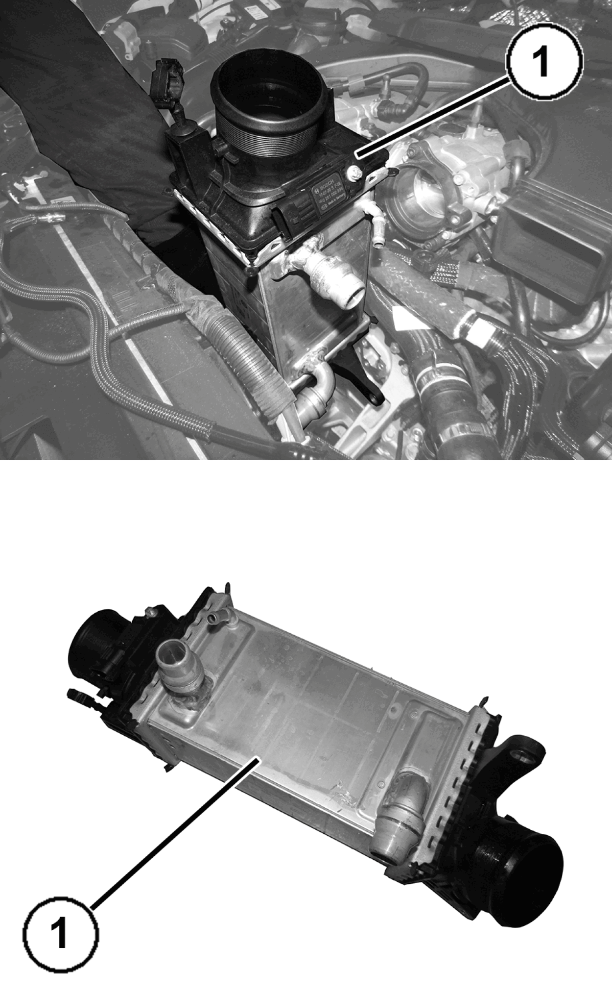 GC0196256