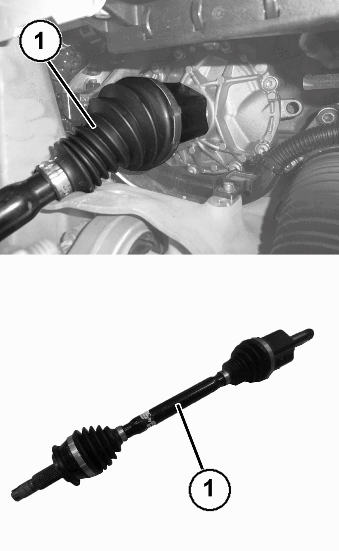 GC0196271