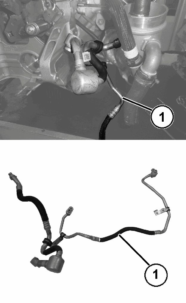 GC0196288