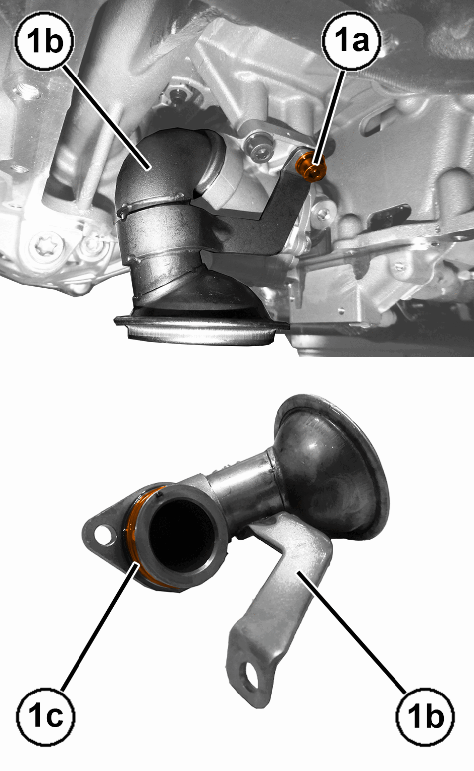 GC0196345