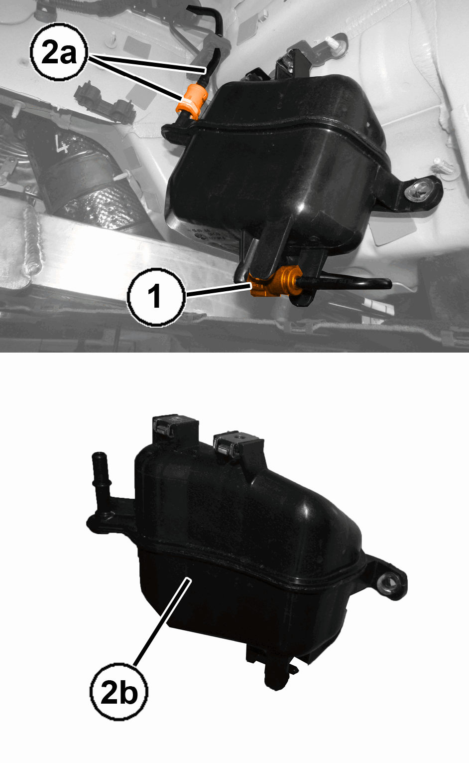 GC0196441
