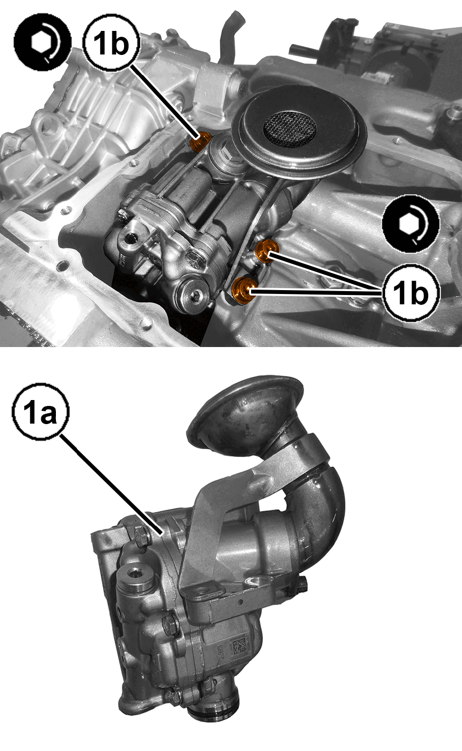 GC0196469