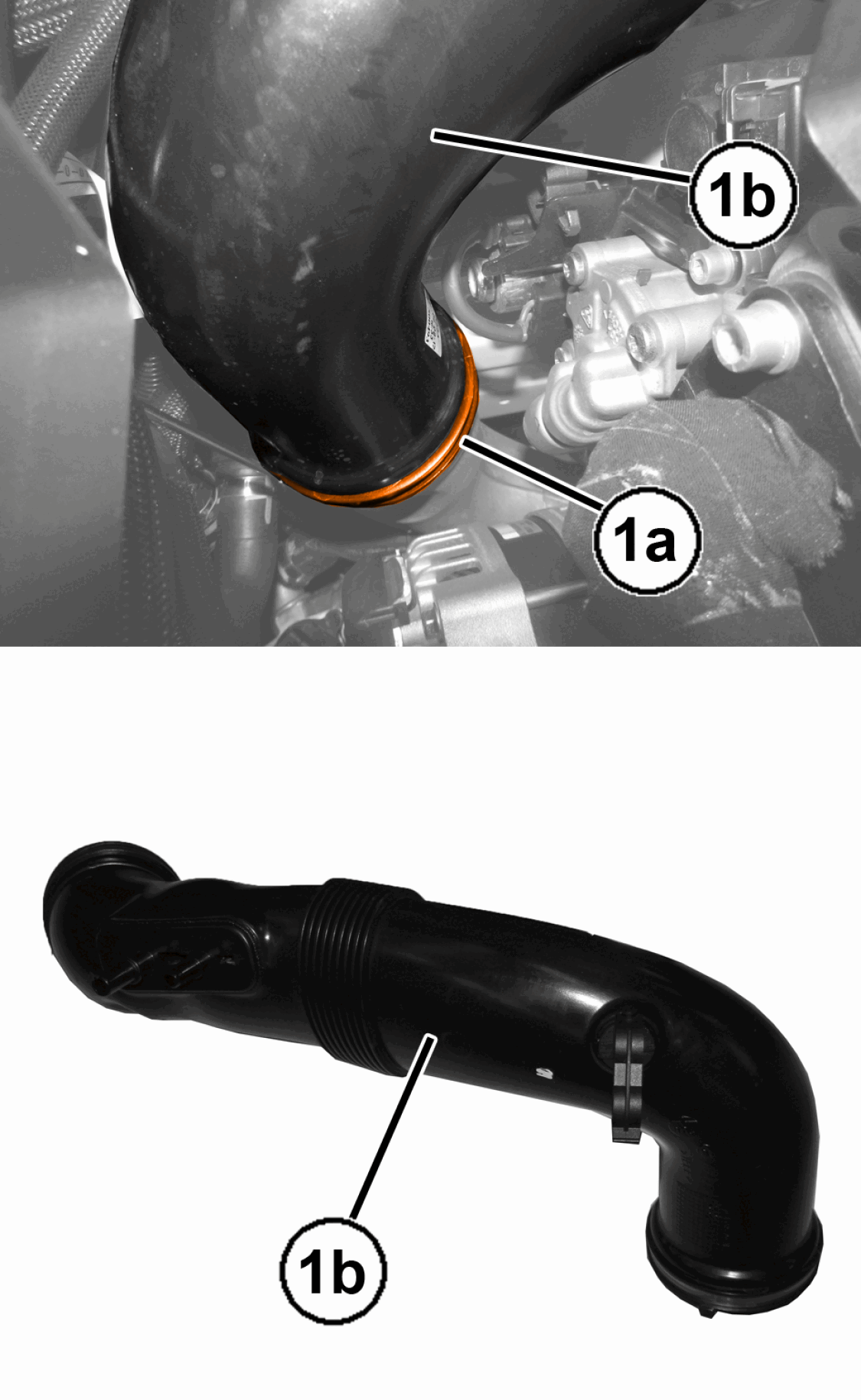GC0196470