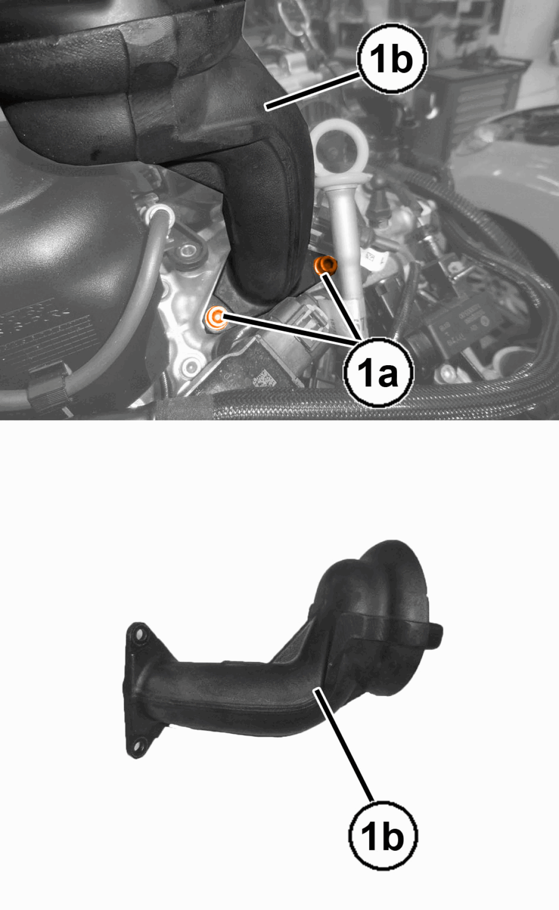 GC0196503