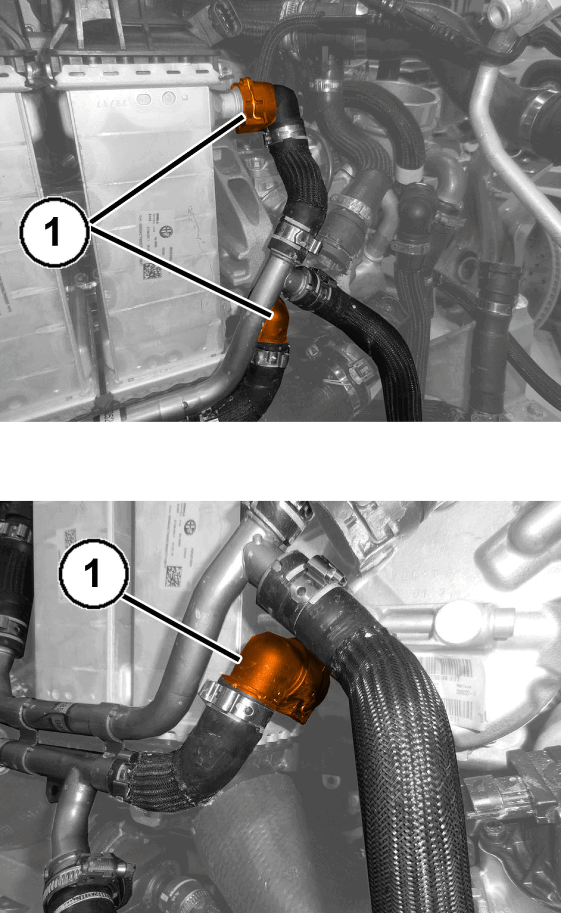 GC0196508