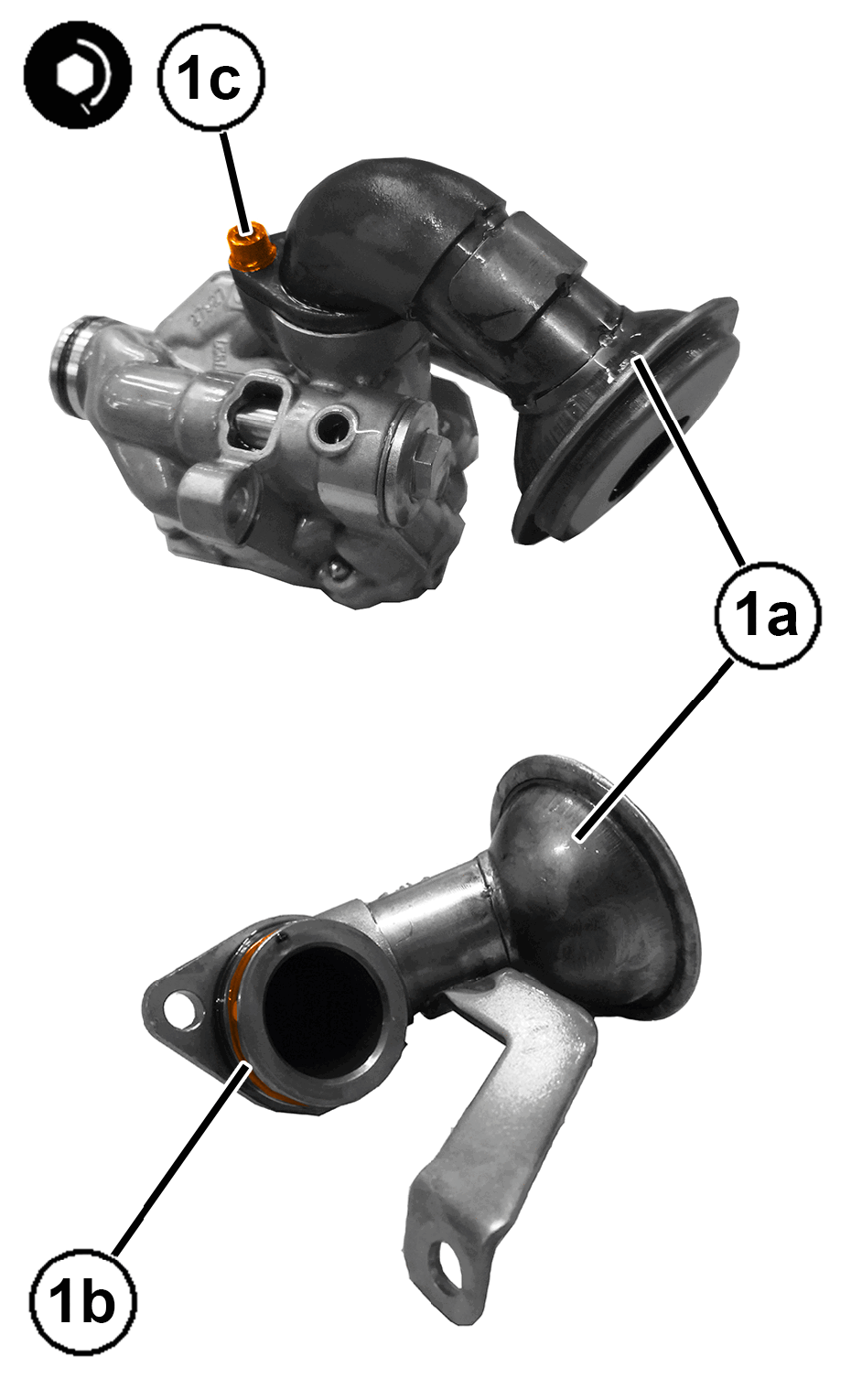 GC0196538