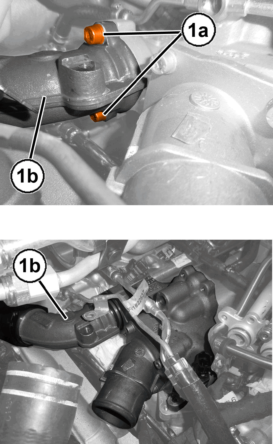 GC0196583