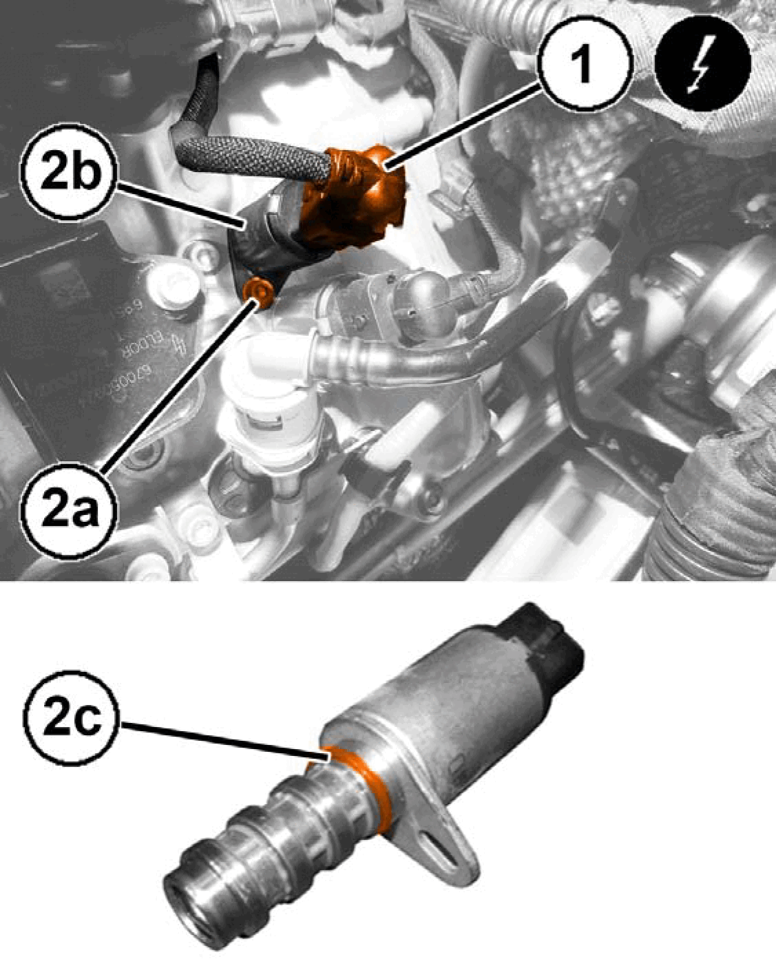 GC0196606