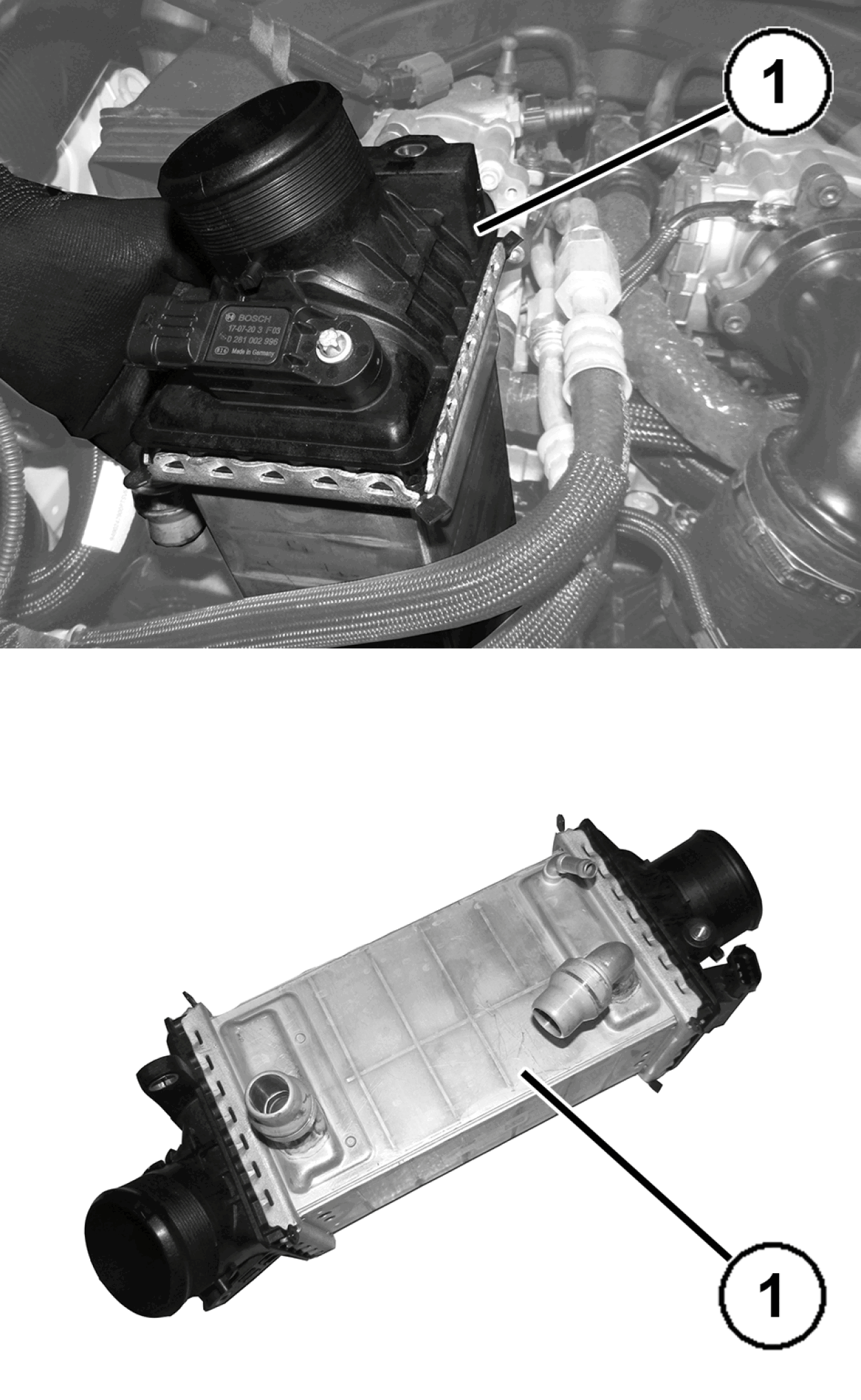 GC0196607