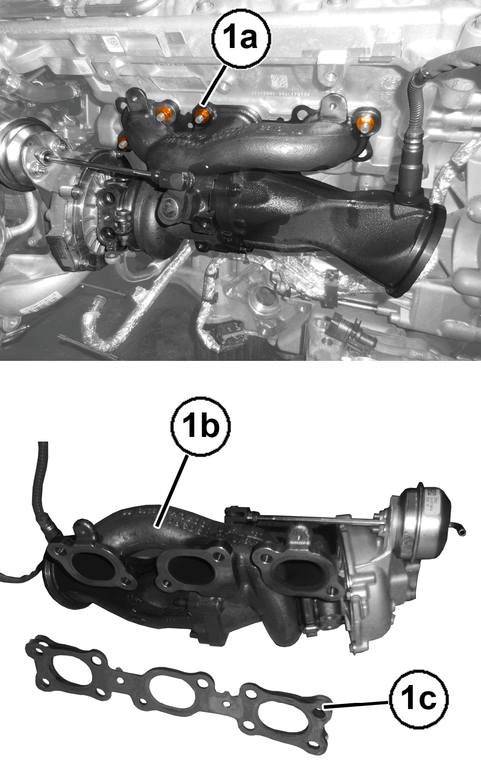 GC0196669
