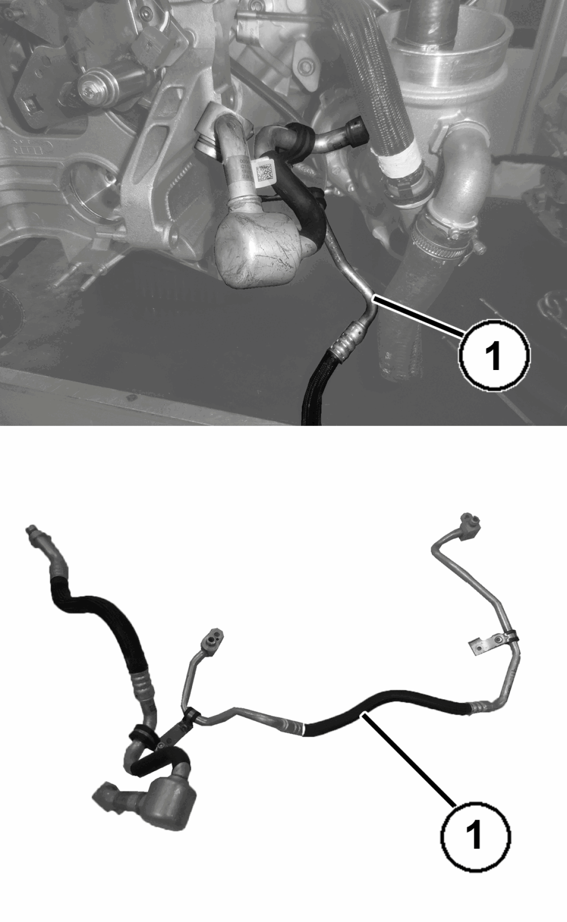 GC0196703