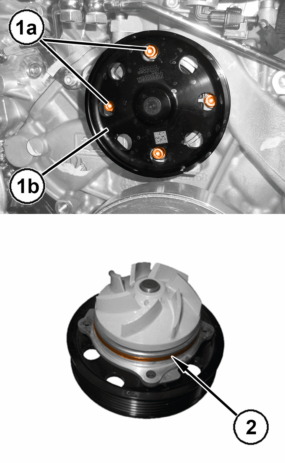 GC0196731