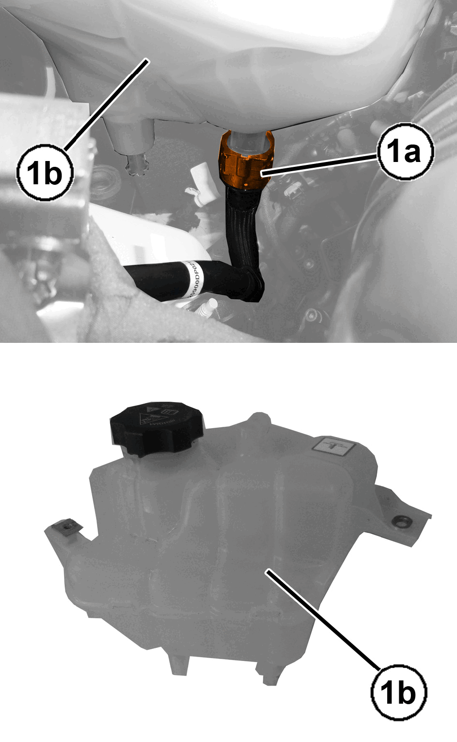 GC0196771