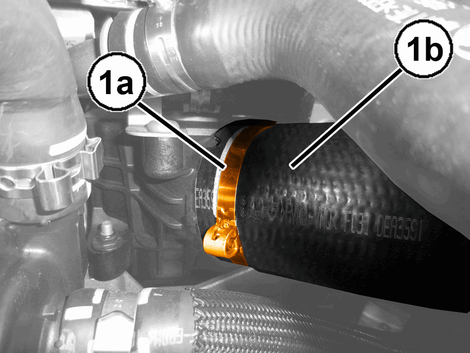 GC0196781