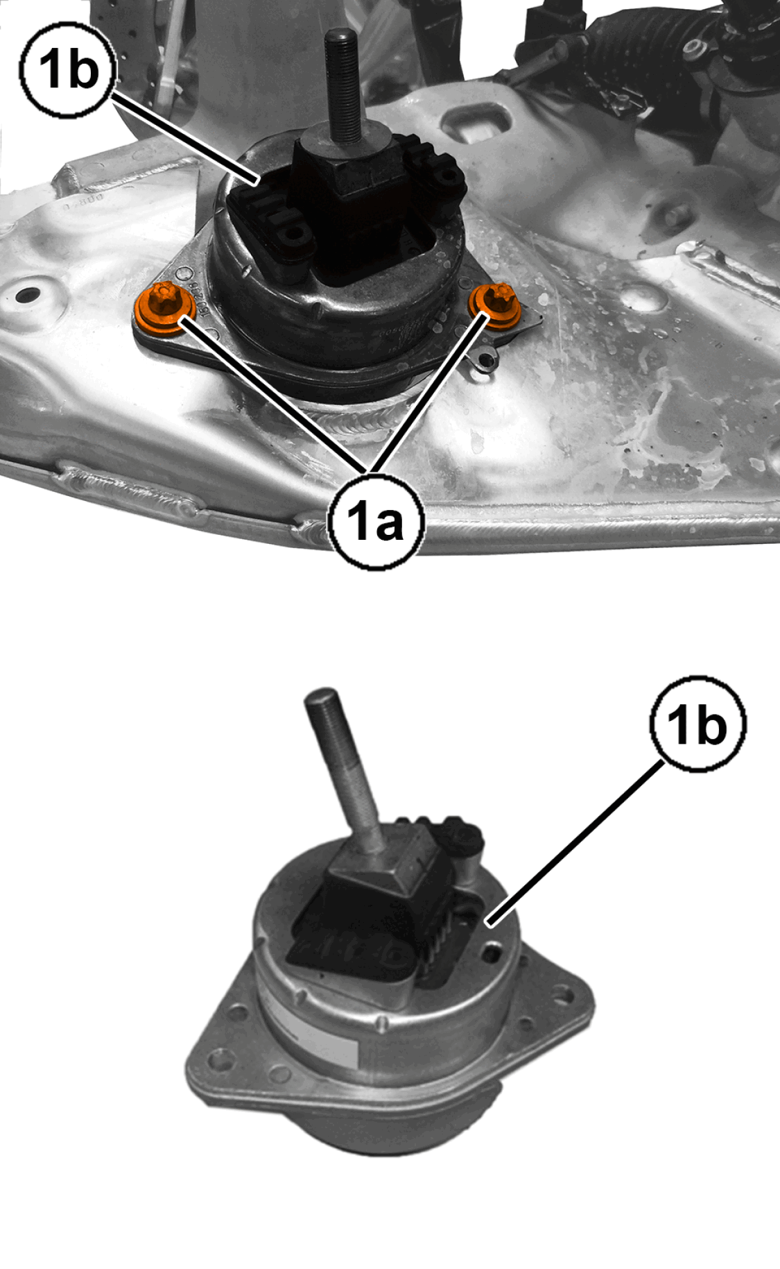 GC0196896