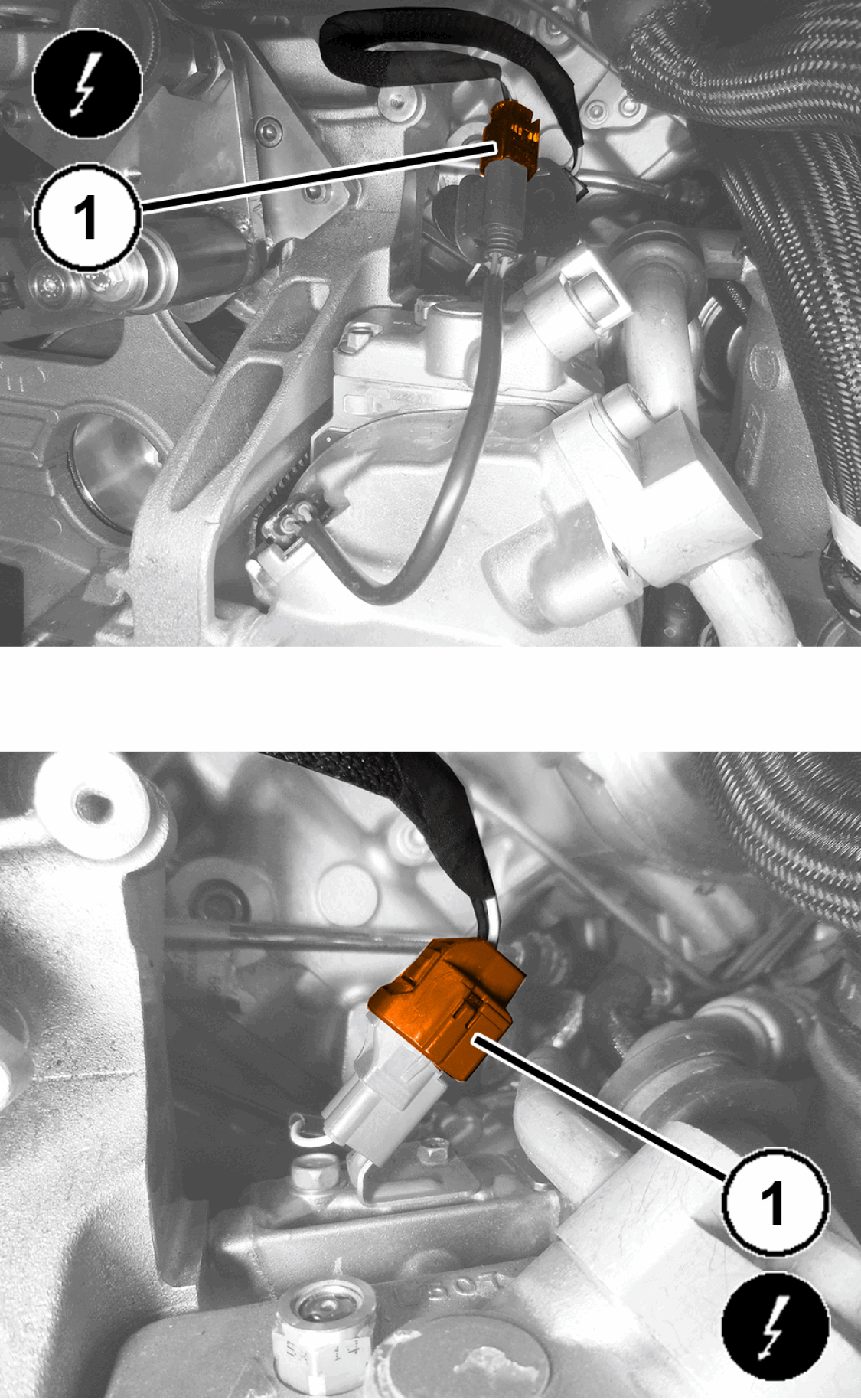 GC0196904