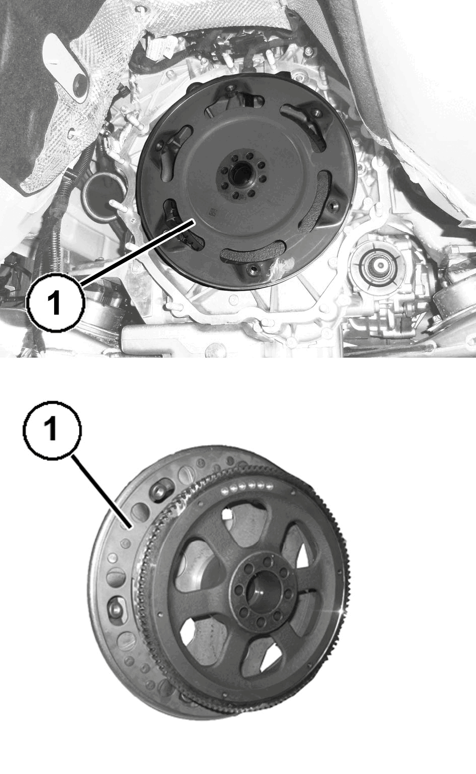 GC0197013
