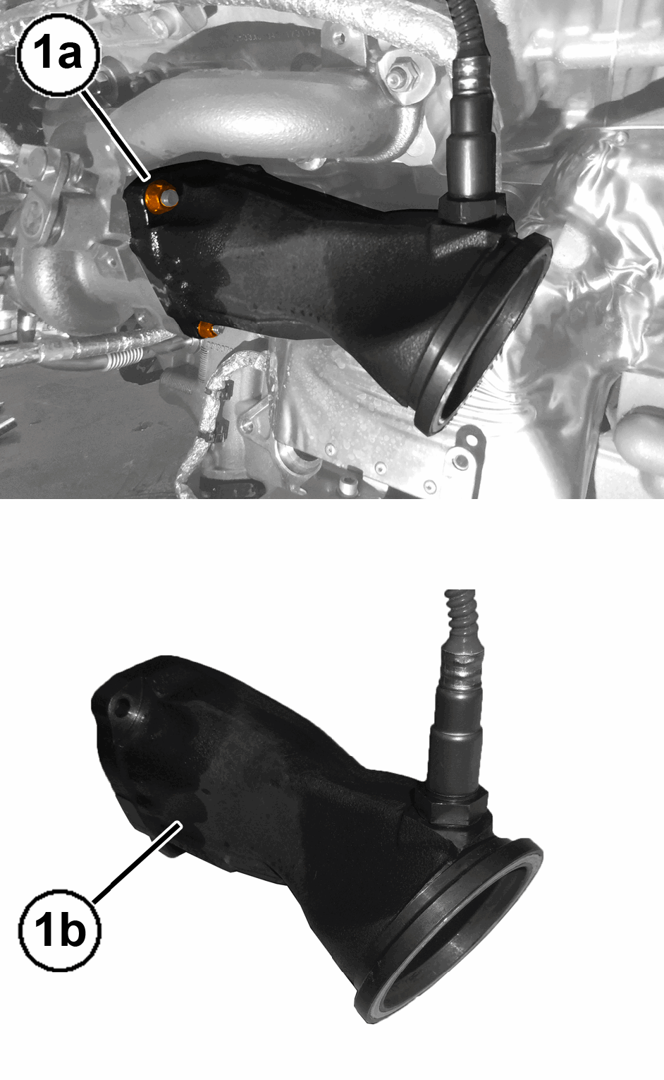 GC0197015