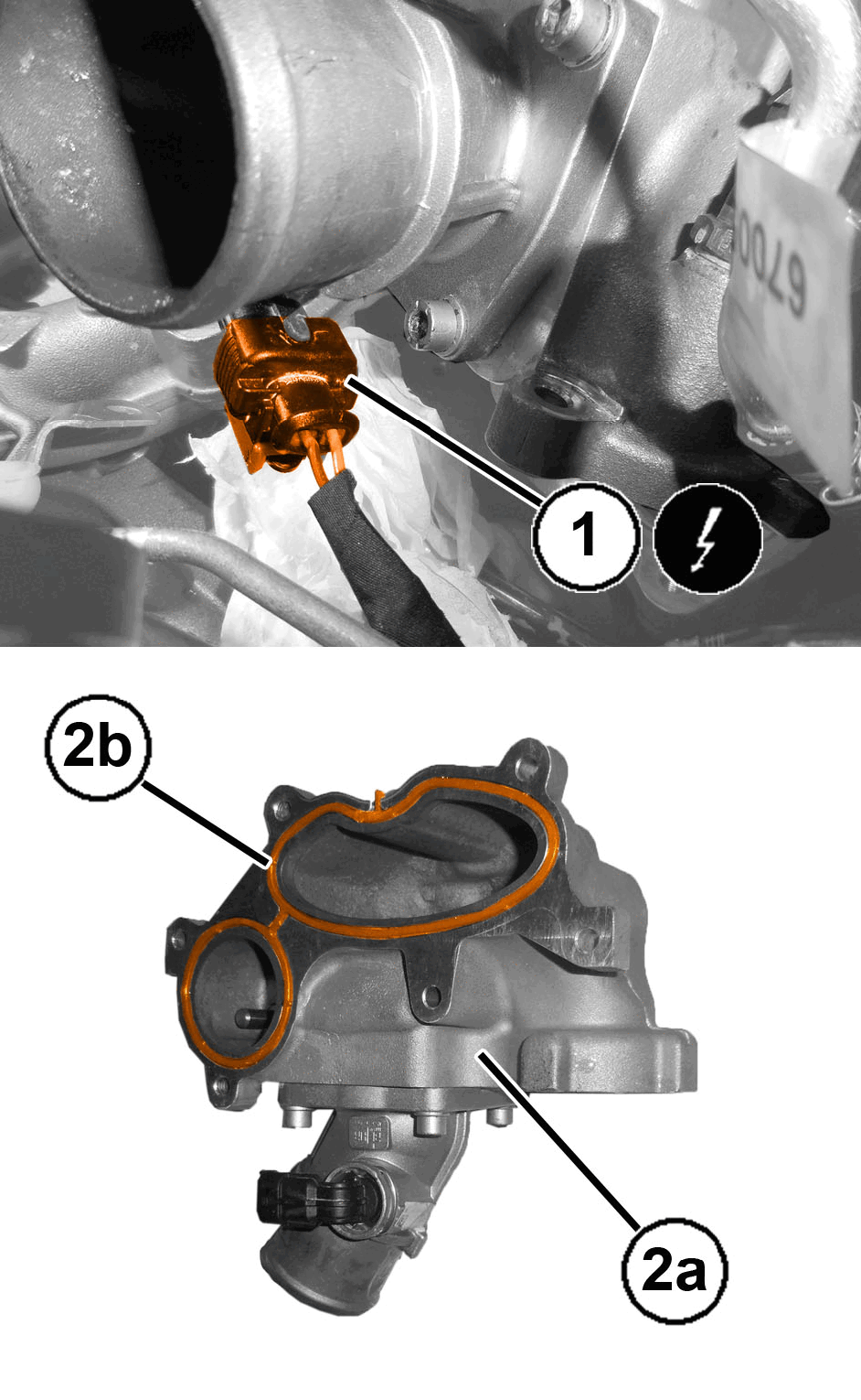 GC0197115