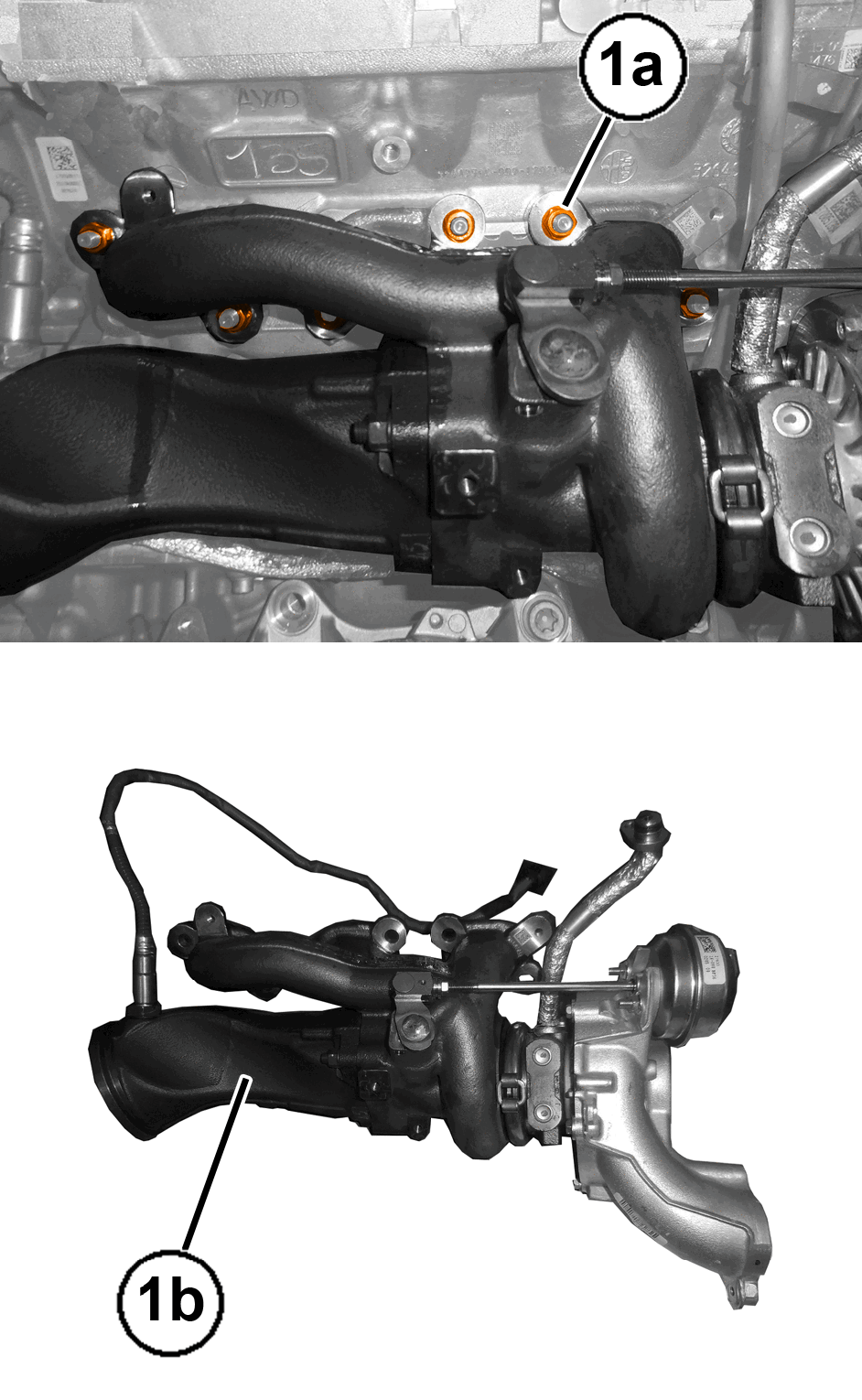 GC0197132