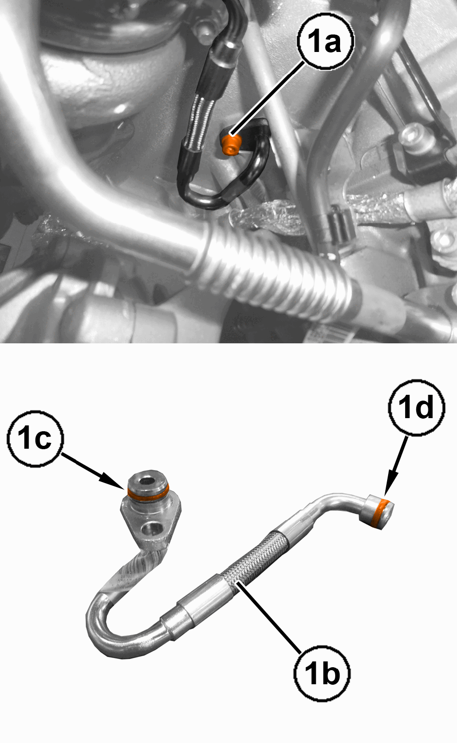 GC0197136