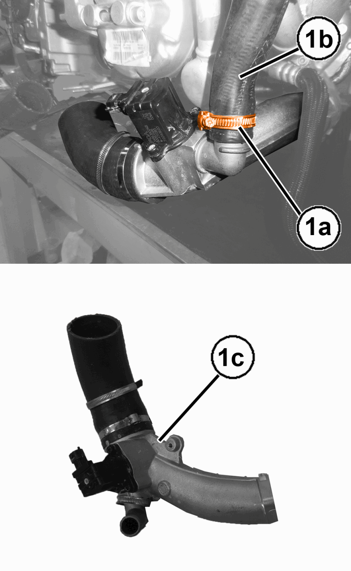GC0197392