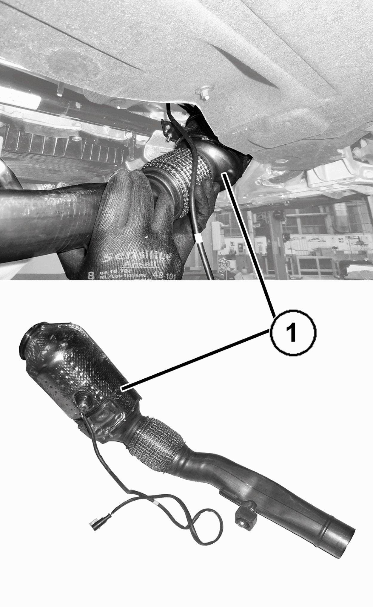 GC0199754