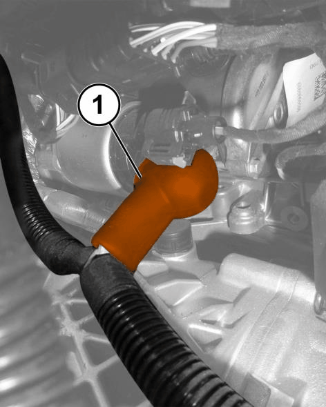 GC0207974