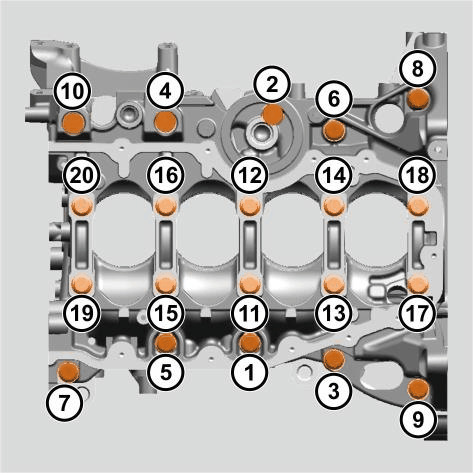 GC0207998