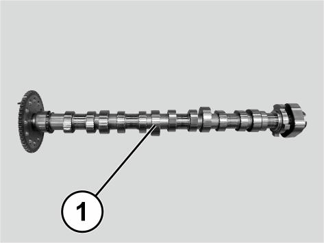 GC0208089