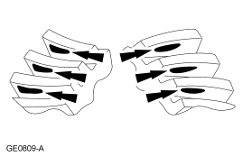 GF0000787