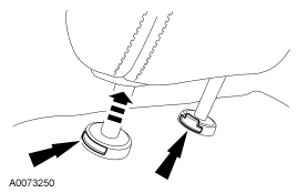 GF0001896