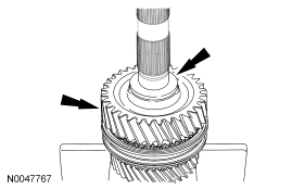 GF0003955