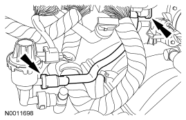 GF0005561