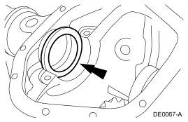 GF0006309